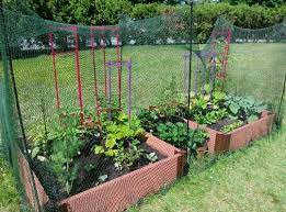I've looked in ace, when i asked in someone in dragon mart they looked at me as if i was just beamed down lol. Protection Stakes For Garden Pest Netting Set Of 4 Gardeners Com Vegetable Garden Design Garden Netting Hydrangea Care