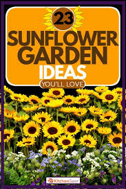 Black and yellow with sunflowers. 23 Sunflower Garden Ideas You Ll Love Garden Tabs