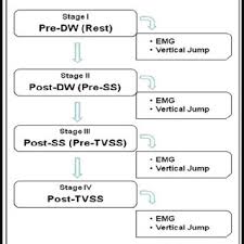 tested vertical jump findings during succeeding stages such