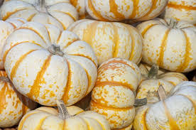 Pumpkin trivia questions and answers. Little Known Pumpkin Fun Facts Trivia