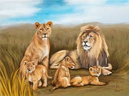 This Item Is Unavailable Lion Family Animals Africa Animals