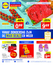 Desenhos de animais fofos para colorir pintar imprimir em 2020. Lidl Folder Van 01 07 2019 Tot 06 07 2019 Pagina 1 Lidl Folder