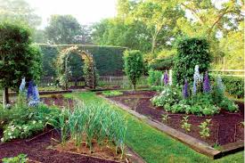 design an easy kitchen garden