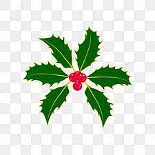 Holly Leaf Green Christmas Vector Element Holly Clipart Holly Holly Leaf Png And Vector With Transparent Background For Free Download Christmas Leaves Christmas Vectors Holly Leaf
