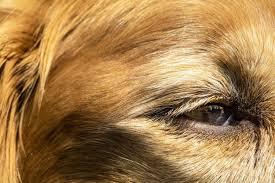 Recognizing and valuing those who have served