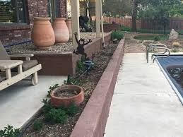 I Need Ideas For A Long Flower Bed By A Swimming Pool