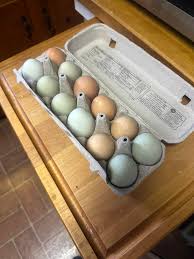 Tomorrow is the big day! I was hoping it was today, but last minute repairs 