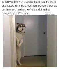 Yoga Memes Yoga Funny Memes Funny Yoga Memes Yoga Memes Funny Pilates Memes Yoga Funny Humor Yoga Humor Funn Gym Memes Funny Funny Yoga Memes Yoga Quotes Funny