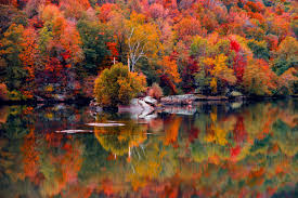 We did not find results for: The Perfect Fall Getaway To West Virginia Nomadic Fare Female Travel Lifestyle Blog