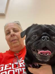 This is Harley. Harley last week had me thinking he was a goner as he  suddenly couldn't stand himself up. This is him 4 days after the incident,  absolutely fine and looking