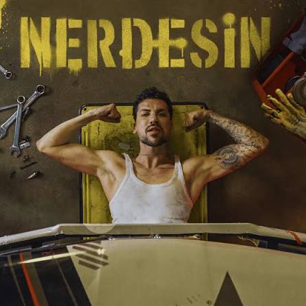 Nerdesin?