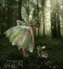 A Short Update On The Energies Fairy Pictures Fantasy Fairy Fairy Angel
