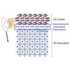 Ying rong mei s trademark keyword after analyzing the system lists the list of keywords related and the list of websites with related content, in addition you can see which keywords most interested customers on the this website Crown Ether Induced Supramolecular Passivation And Two Dimensional Crystal Interlayer Formation In Perovskite Photovoltaics Sciencedirect
