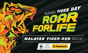 Thanks to its black stripes on orange fur, the malayan tiger is surprisingly adept at blending in with rainforest. Cari Runners Malayan Tiger Run 2019