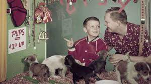 They treat their pets very nicely and offer them the care that they need. Why Are Pets Disappearing From Pet Stores Howstuffworks
