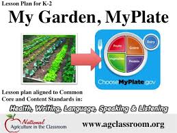 Elementary Lesson Plan About Healthy Eating Habits And Myplate Follow Link For Free Resources And Elementary Lesson Plans Education Lesson Plans Ag Education