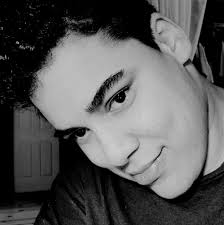 Dragon Tamer mod download issues