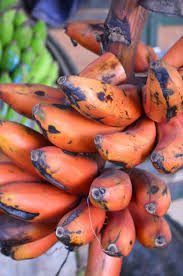 Pin On Garden Fruit Veggies Herbs