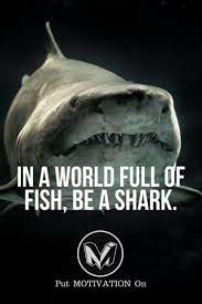 Nothing Found For Blogs Motivational Inspirational Quotes 63 Inspirational Motivational Quotes About Life Inspirational Quotes Motivation Shark Quotes Motivational Quotes For Life