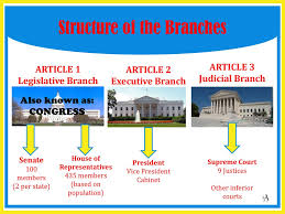 The Structure and Function of the Federal Government