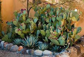 If you're allergic to water, you would likely be diagnosed with one of those two conditions. What To Plant If You Have Allergies Sheknows