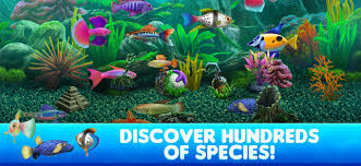 Fish Tycoon 2 Virtual Aquarium On The App Store