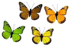 I was excited yet nervous, as i wanted to do the best for them while trying to make a difference in this beautiful summer butterfly. Looking For Props For Your Display Or Event Artificial Monarch Butterflies In Stock Ideal For Windowdisplay Mo Fall Prints Artificial Butterfly Prints