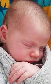 Spruce Grove Newsletter