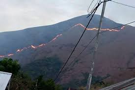 Inilah lowongan kerja hotel terbaru di lombok 2020. 15 Hektare Padang Savana Bukit Dara Gunung Rinjani Terbakar Penyebaran Api Terus Meluas