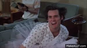If you are a moderator please see our troubleshooting guide. Funny Gifs Ace Ventura Gif Vsgif Com