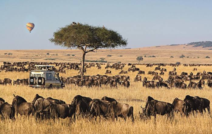 Masai Mara National Reserve - Luxury African Safari with Micato