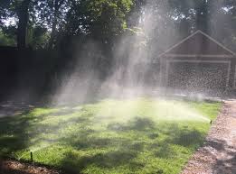 Some of the advantages and disadvantages of each option: How And When To Water Your Lawn