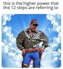 Pin By Bailey Meyer On Tiger King In 2020 Funny Memes Memes Funny