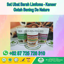 Kanser ovari adalah kanser wanita yang paling ditakuti kerana ia tidak mempunyai kaedah pencegahan yang berkesan dan. Storymapjs Apa Itu Penyakit Limfoma Penyembuhan Herba Limfoma Berkesan Tanpa Kambuh