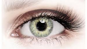 Bella Chestnut Brown Colored Contacts Green Colored Contacts Contact Lenses Colored Colored Contacts