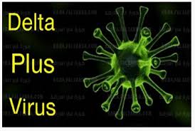 أكدت خبيرة منظمة الصحة العالمية ماريا فان كيركوف أن متحور دلتا من فيروس كورونا المكتشف لأول مرة في الهند تم تسجيله في 92 دولة حتى الآن، وفقًا لـروس O26ewvwlt Kp8m