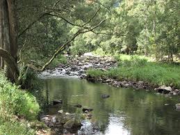 Riparian Zones Waternsw