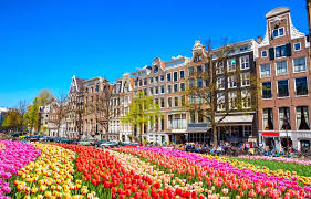 Tuyển chọn những hình ảnh đẹp đến kinh ngạc những vườn hoa tulip ở hà lan. Lá»… Há»™i Hoa Tulip Ha Lan