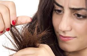 Image result for cara merawat rambut kering