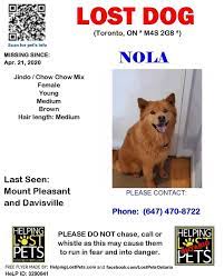 Toronto pet owner 'overwhelmed' by community support to help find missing dog more than 100 people helped search for river who was lost for nearly a week news jan 23, 2020 by andrew palamarchuk toronto.com Tabatha Southey On Twitter Lost Dog Toronto Please Help Find Nola Last Seen Mount Pleasant Davisville Missing Since April 21st She S Skittish And Afraid Https T Co Ehcx4h9ayp
