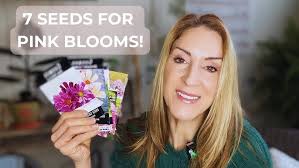 ENGLISH VINCA ROSES 🌹|HOME PLANTS.