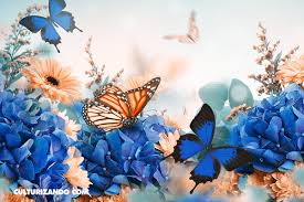Fondos de pantalla 4k ultra hd de mariposa. Las Maravillosas Mariposas En 10 Curiosos Datos