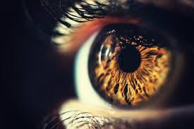 Manchas En Los Ojos Todo Lo Que Necesitas Saber Blog De Clinica Baviera