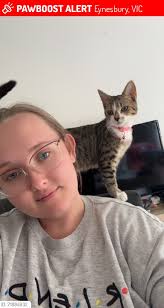 Our lovely Luna is still missing after nearly two weeks 🐈‍⬛😔 Missing her  lots. There have been LOTS of sightings of her in certain areas though. It  seems as if she's travelled