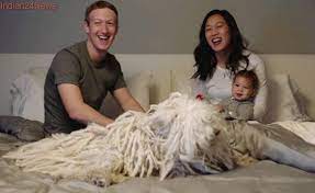 Mark zuckerberg tells a story about leaving work one day and being hailed by a couple of tourists outside facebook's zuckerberg doesn't look much like jesse eisenberg, the actor who played him in the social network movie. Mark Zuckerberg And Wife Are Expecting Another Baby Girl Mark Zuckerberg Wife Mark Zuckerberg Zuckerberg
