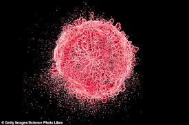 Good, good, good karmic vibrations! How The Pioneering Science Behind The Covid Jab Could Soon Offer A New Vaccine For Cancer Daily Mail Online