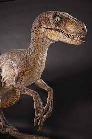 Maybe you would like to learn more about one of these? Full Scale Velociraptor Maquette From Jurassic Park Velociraptor Jurassic Park Dinosaur Pictures Jurassic Park