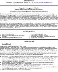 Sales Marketing And Business Development Director Resume Sample Marketing Resume Sales And Marketing Marketing Director