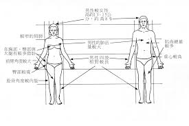 性別與運動中文提要