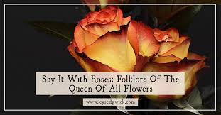 Say It With Roses Folklore Of The Queen Of All Flowers Icy Sedgwick
